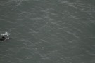 Missing Picture